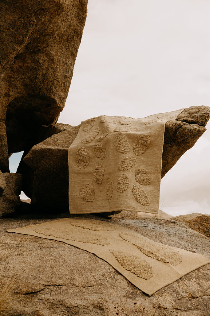 Land Rocks |  Camel