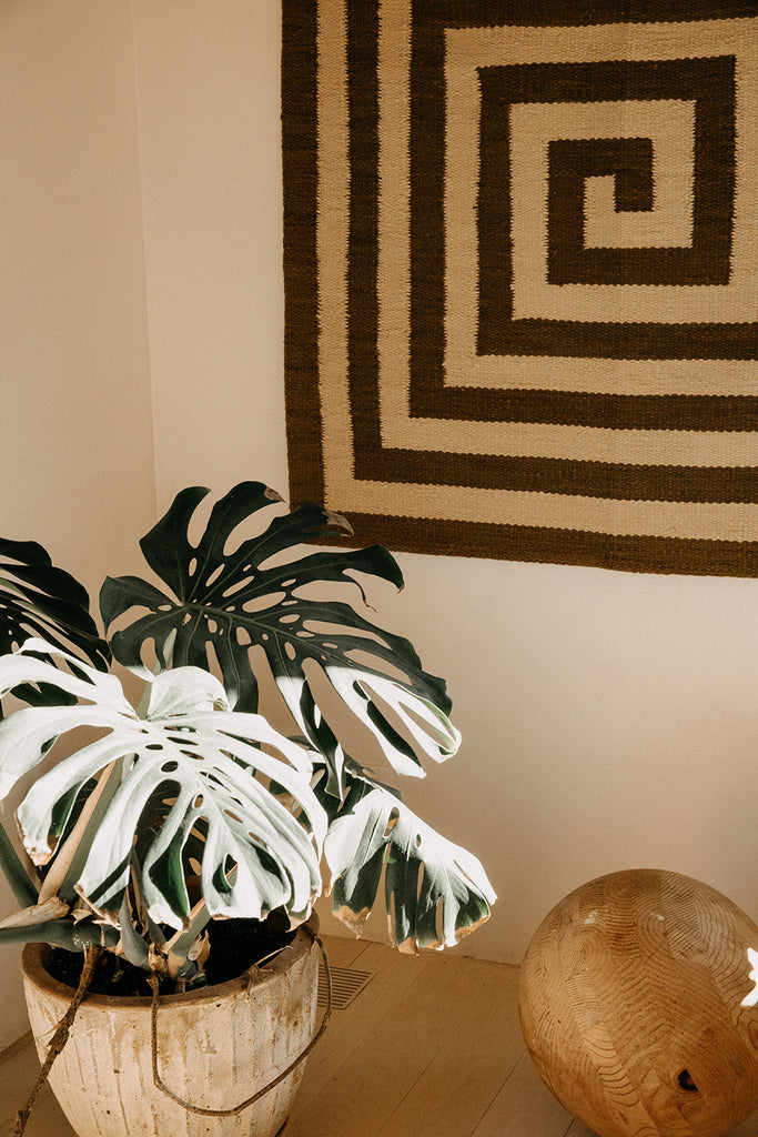 Land Spirals #5258